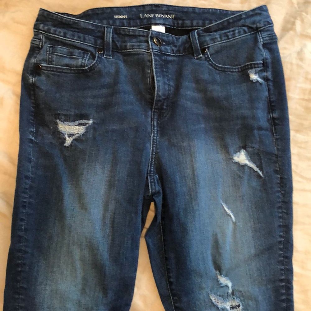 Lane Bryant Jeans